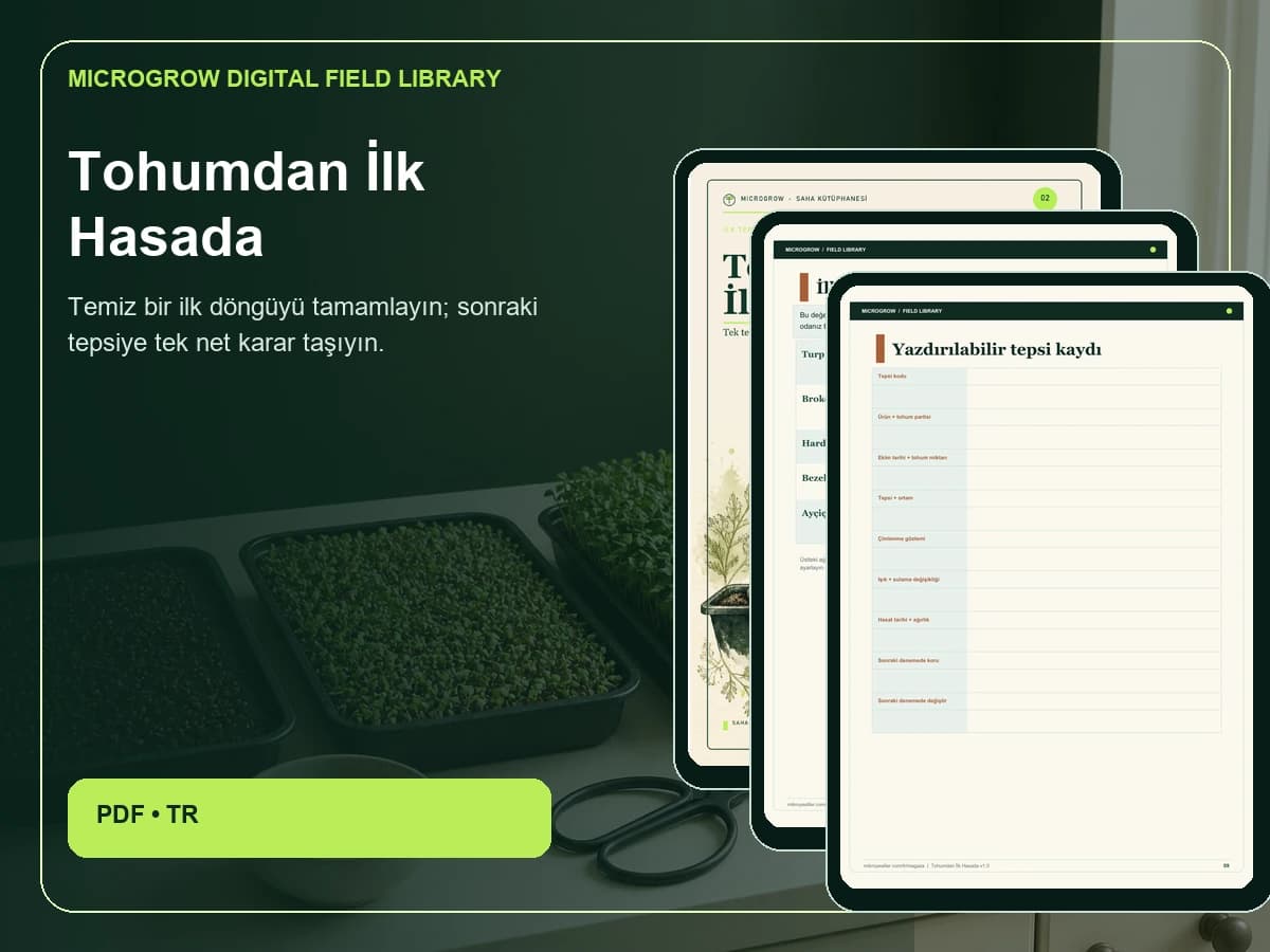 Tohumdan İlk Hasada kapak ve iç sayfa ön izlemesi