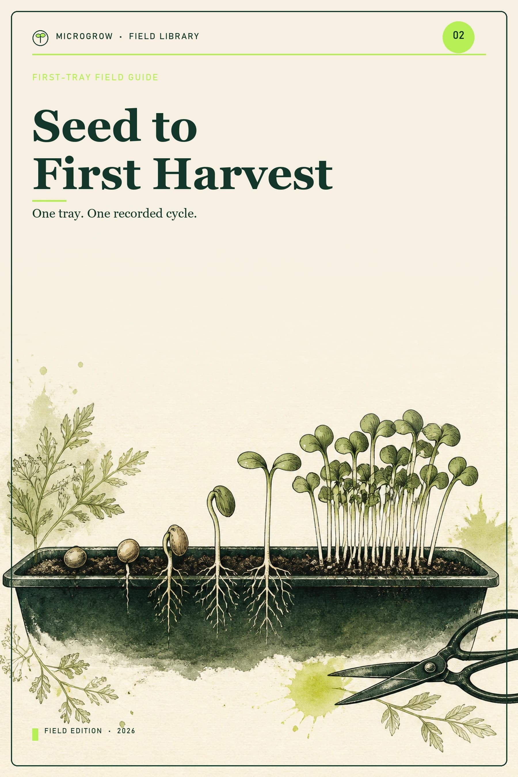 Seed to First Harvest
